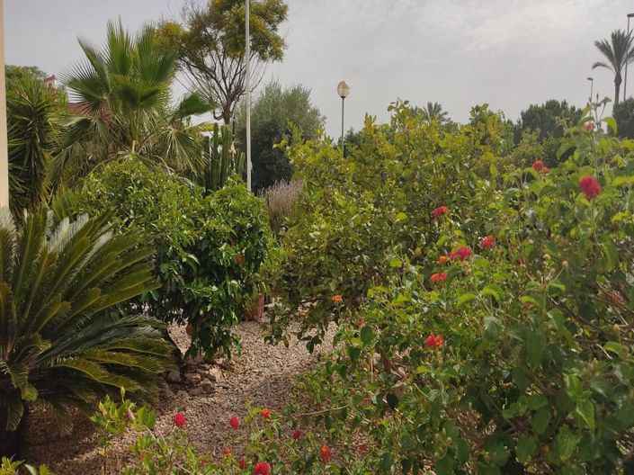 Image No.25-Maison de 3 chambres à vendre à Hacienda del Alamo