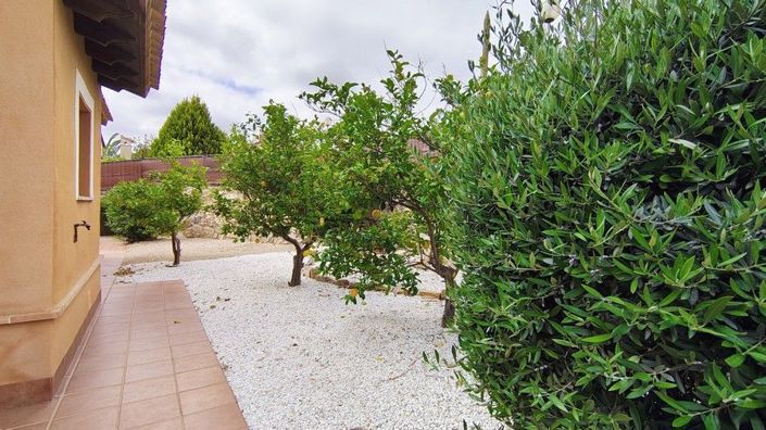 Image No.31-3 Bed House for sale