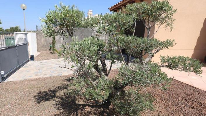 Image No.38-3 Bed House for sale