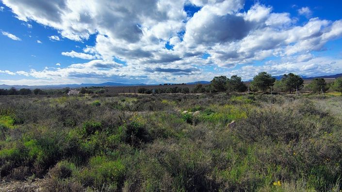 Image No.2-Plot for sale