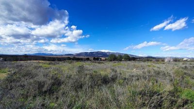 img20260205142927249hdraee1115f5aa6