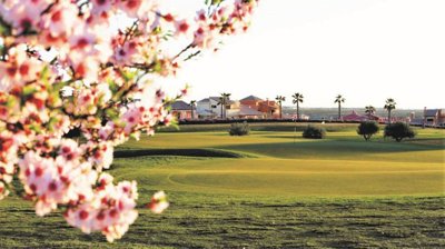 zhdagolf040b8723136f9