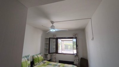 hdabrazil10996c9c68e8875