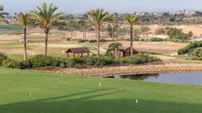 zhdagolf0301321f42f0b