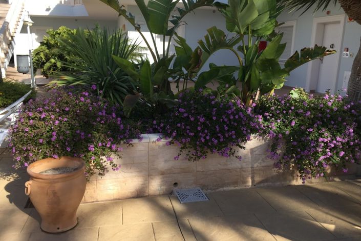 Image No.15-Appartement de 2 chambres à vendre à Benissa