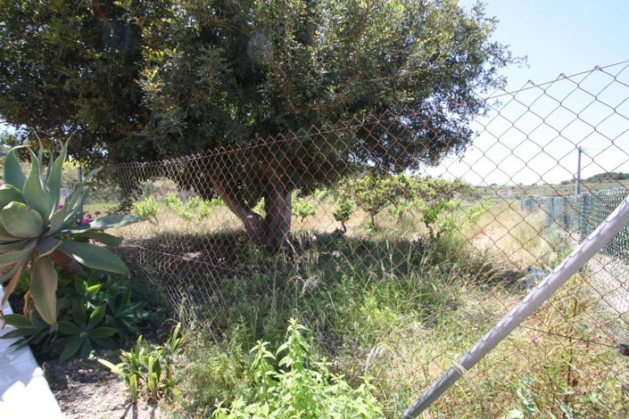 Image No.28-Propriété de 3 chambres à vendre à Teulada