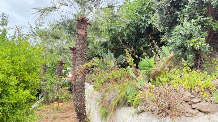 Image No.27-5 Bed Villa for sale