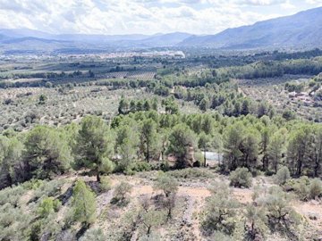 ad0699baf6033ebd8084d30ad6802f18