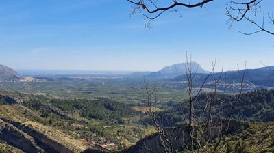 ce79c2c6a7a8ddeb30b517d191b021f6