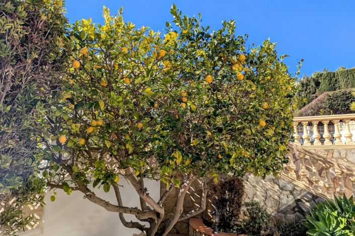 Image No.21-Villa de 4 chambres à vendre à Moraira