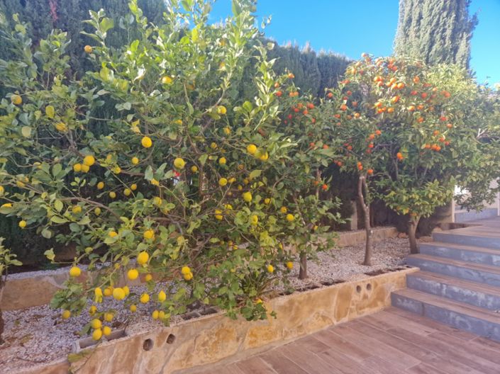 Image No.24-3 Bed Villa for sale