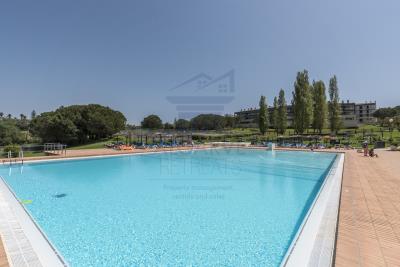 MP-Pool-4