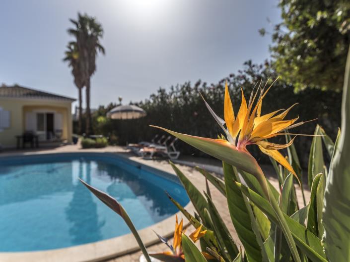 Image No.22-Maison / Villa de 4 chambres à vendre à Meia Praia