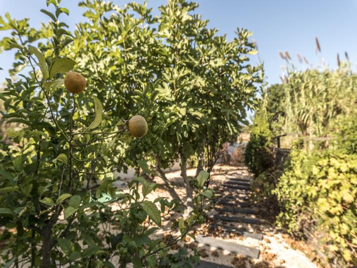 Image No.27-Maison / Villa de 4 chambres à vendre à Meia Praia