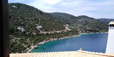 IMG_20190601_123309