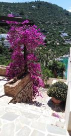 IMG_20190601_135553