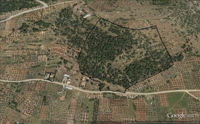 thumbnail_property-from-google-earth--traced-