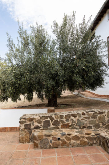 Image No.30-9 Bed House for sale