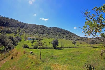 1 - Silves, Terre