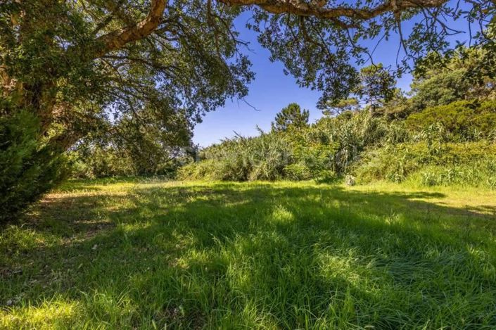 Image No.2-Land for sale