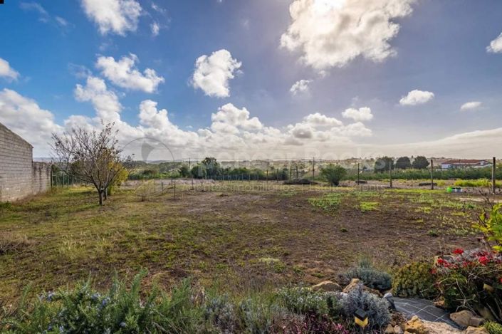 Image No.38-Maison de 4 chambres à vendre à Alcobaça