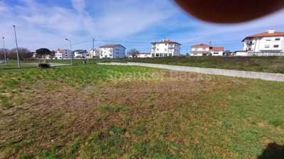 023eaeff-f33d-74ae-78eb-054403db46a3