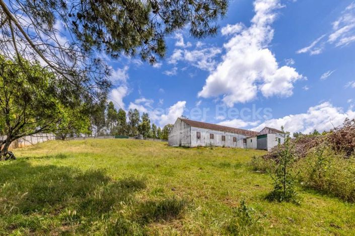 Image No.23-3 Bed House for sale