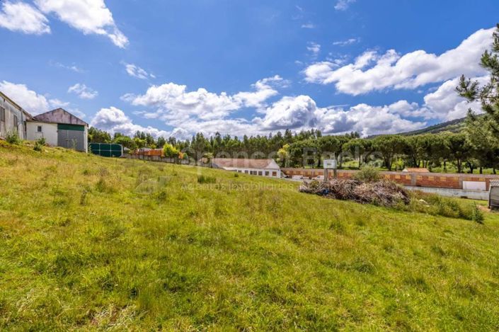 Image No.24-3 Bed House for sale