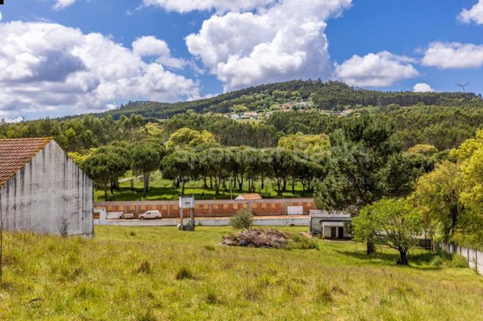 Image No.25-3 Bed House for sale