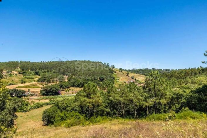 Image No.35-3 Bed House for sale