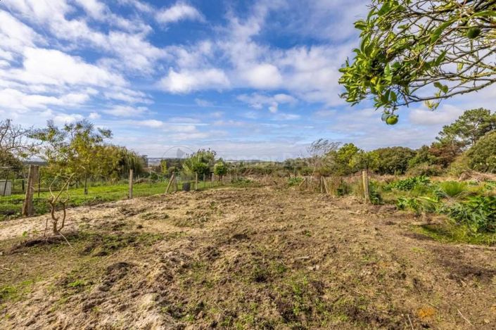 Image No.30-Maison de 3 chambres à vendre à Alcobaça