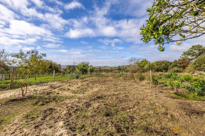 Image No.31-3 Bed House for sale