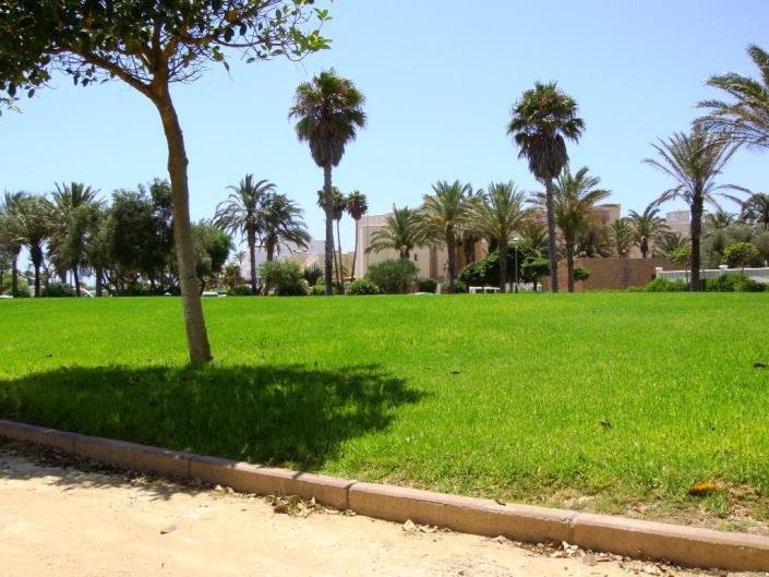 Image No.18-Studio à vendre à Almerimar