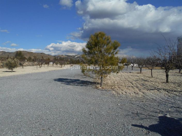 Image No.11-3 Bed Finca for sale