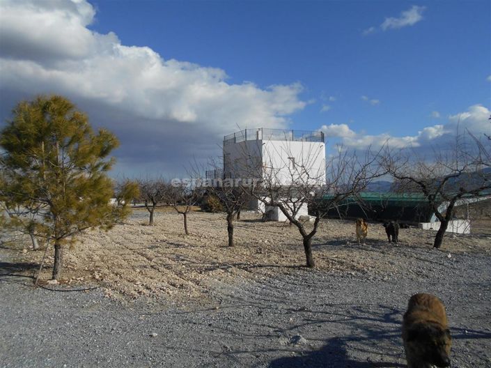 Image No.12-3 Bed Finca for sale