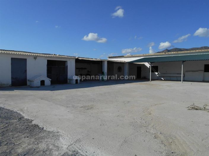Image No.13-3 Bed Finca for sale