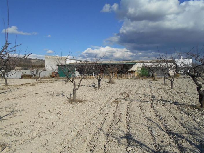 Image No.14-3 Bed Finca for sale
