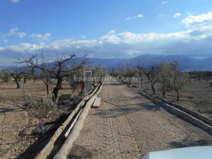 Image No.22-3 Bed Finca for sale