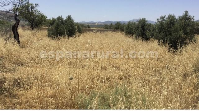 Image No.14-3 Bed Villa for sale