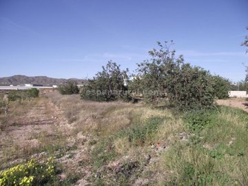 xml23051