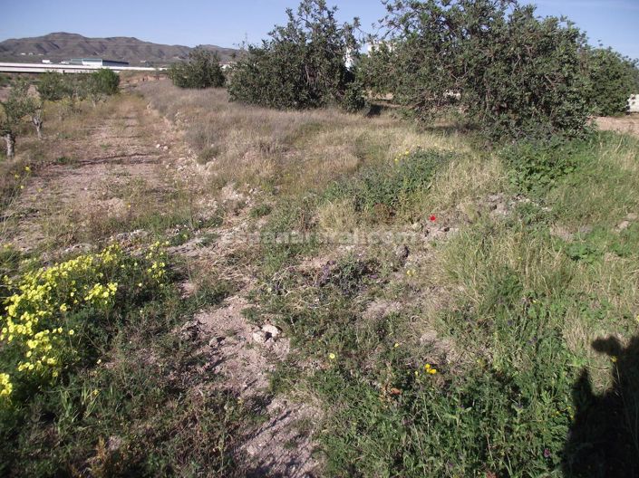 Image No.16-Maison de campagne de 4 chambres à vendre à Arboleas
