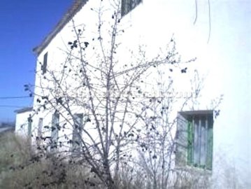 xml33687