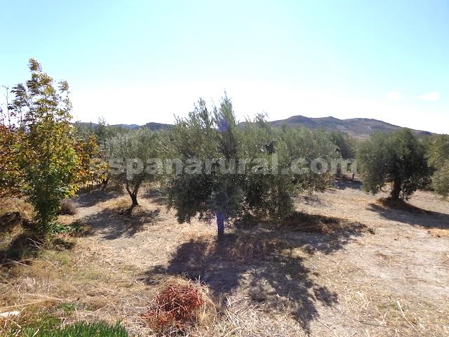 Image No.7-Maison de campagne de 2 chambres à vendre à Oria