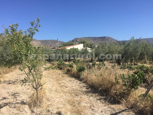 Image No.9-Maison de campagne de 2 chambres à vendre à Oria