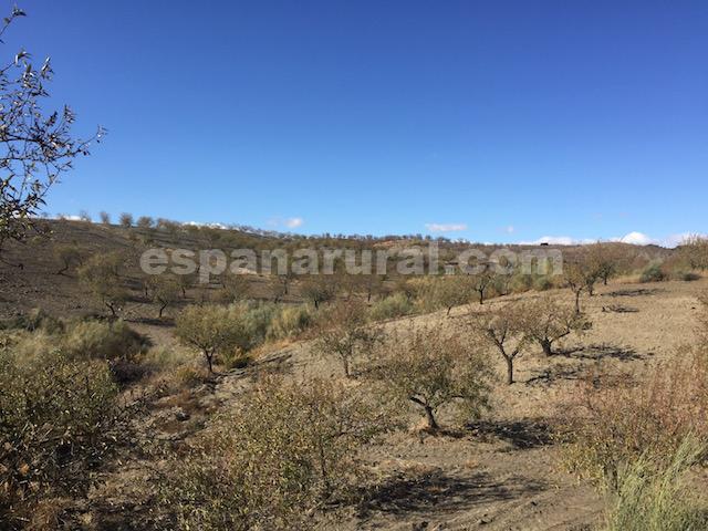 Image No.14-Villa de 3 chambres à vendre à Oria