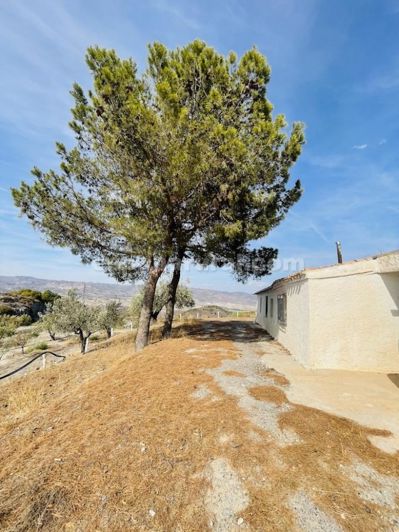 Image No.18-3 Bed Country House for sale