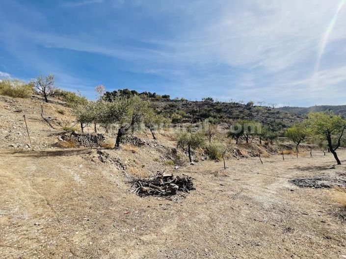 Image No.21-3 Bed Country House for sale