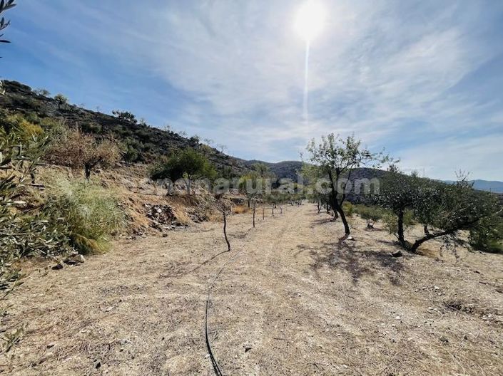 Image No.22-3 Bed Country House for sale