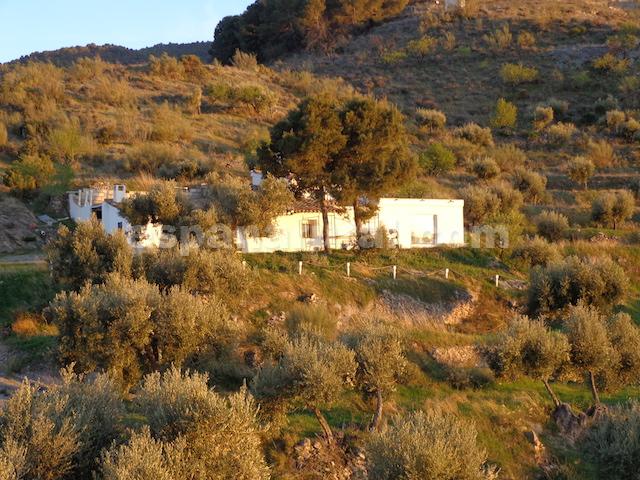 Image No.28-3 Bed Country House for sale