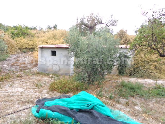 Image No.19-5 Bed Country House for sale